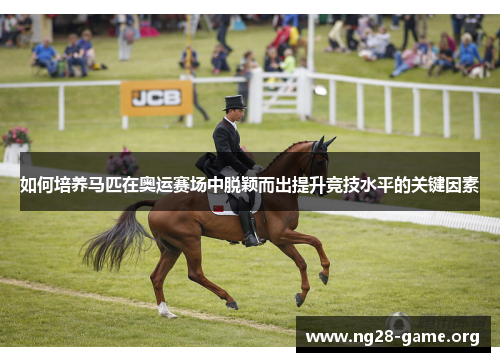 如何培养马匹在奥运赛场中脱颖而出提升竞技水平的关键因素 如何培养马匹在奥运赛场中脱颖而出提升竞技水平的关键因素