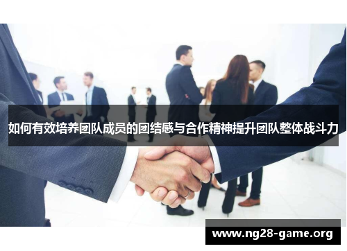 如何有效培养团队成员的团结感与合作精神提升团队整体战斗力