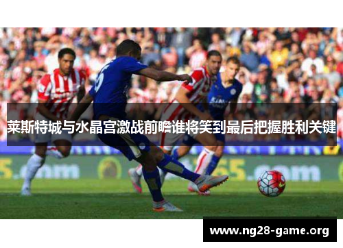 莱斯特城与水晶宫激战前瞻谁将笑到最后把握胜利关键 莱斯特城与水晶宫激战前瞻谁将笑到最后把握胜利关键